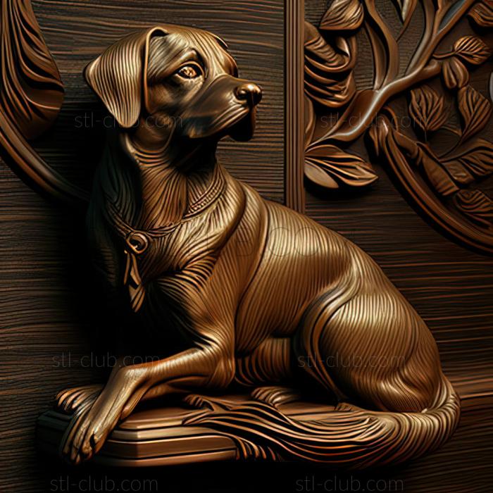 3D model st Hungarian vyzhla dog (STL)